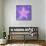 Superstar Purple-Suzanna Anna-Stretched Canvas displayed on a wall