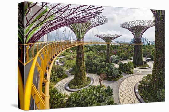 Supertree Grove and Skywalk in the Gardens by the Bay, Marina South, Singapore.-Cahir Davitt-Premier Image Canvas