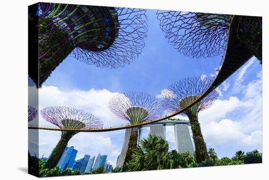 Supertree Grove in the Gardens by the Bay, a Futuristic Botanical Gardens and Park, Marina Bay-Fraser Hall-Premier Image Canvas