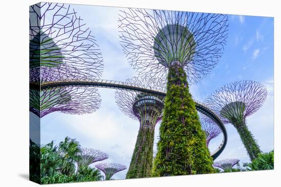 Supertree Grove in the Gardens by the Bay, a Futuristic Botanical Gardens and Park, Marina Bay-Fraser Hall-Premier Image Canvas