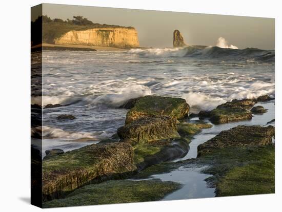 Surf on Four-Mile Beach, Santa Cruz Coast, California, USA-Tom Norring-Premier Image Canvas