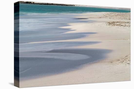 Surf pattern washing up on white sandy beach, Espanola Island, Galapagos Islands, Ecuador.-Adam Jones-Premier Image Canvas