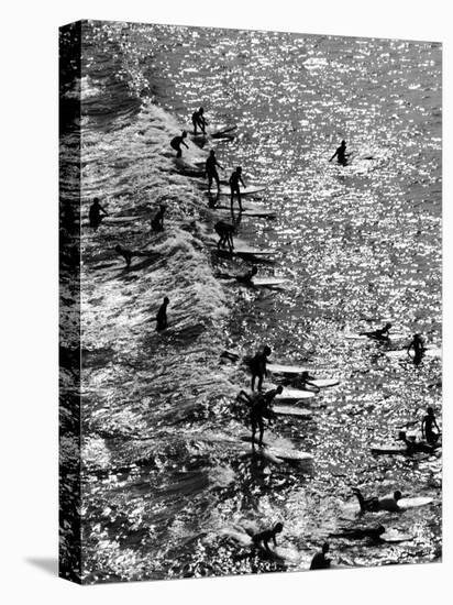 Surf Riders Surfing-Allan Grant-Premier Image Canvas