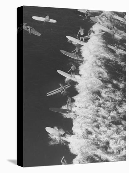 Surf Riders Surfing-Allan Grant-Premier Image Canvas