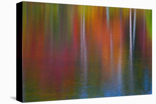 Surface of the water-Mallorie Ostrowitz-Premier Image Canvas