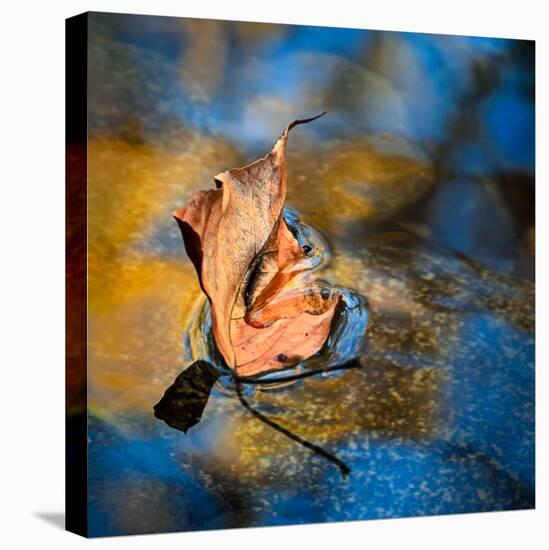 Surface Tension-Ursula Abresch-Premier Image Canvas