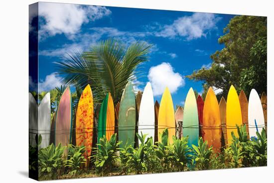 Surfer's Paradise - Hawaii-null-Stretched Canvas