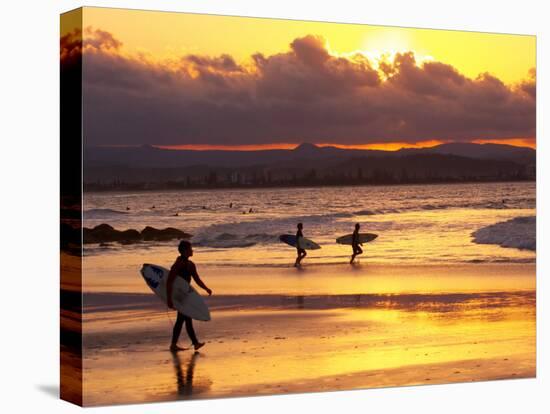 Surfers at Sunset, Gold Coast, Queensland, Australia-David Wall-Premier Image Canvas