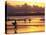 Surfers at Sunset, Gold Coast, Queensland, Australia-David Wall-Premier Image Canvas