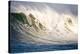 Surfing In Half Moon Bay, California-Rebecca Gaal-Stretched Canvas