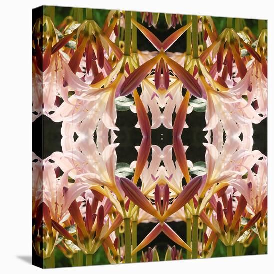 Surprise Lilies-Rose Anne Colavito-Stretched Canvas