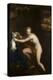 Susannah at her Bath, seventeenth century-null-Premier Image Canvas