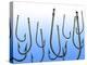 Suspended Fishing Hooks-null-Premier Image Canvas