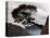 Suspended-Art Wolfe-Premier Image Canvas