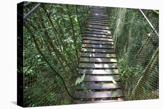 Suspension Bridge, Pacaya-Samiria Reserve, Amazon Rainforest. Peru-Mallorie Ostrowitz-Premier Image Canvas