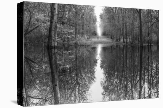 Suwanne Reflection Pano - BW-Moises Levy-Premier Image Canvas