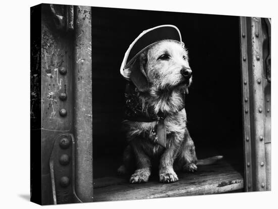 Suzie the Railroad Dog-null-Premier Image Canvas