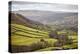 Swaledale, North Yorkshire, Yorkshire, England, United Kingdom, Europe-Mark Mawson-Premier Image Canvas