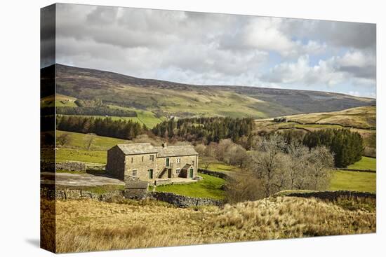 Swaledale, Yorkshire Dales, North Yorkshire, Yorkshire, England, United Kingdom, Europe-Mark Mawson-Premier Image Canvas