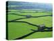 Swaledale, Yorkshire Dales, Yorkshire, England-Steve Vidler-Premier Image Canvas