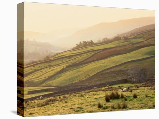 Swaledale, Yorkshire Dales, Yorkshire, England-Steve Vidler-Premier Image Canvas