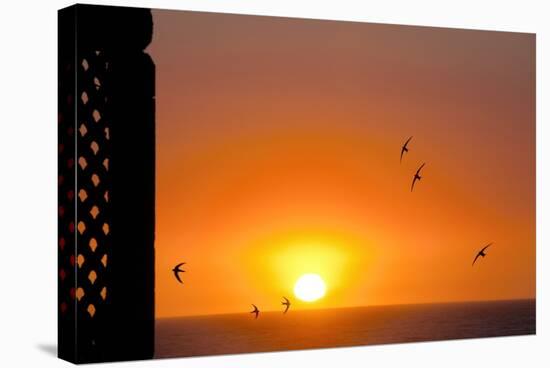 Swallows Flying At Sunset-Laurent Laveder-Premier Image Canvas