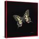 Swallowtail Butterfly, 1999-Amelia Kleiser-Premier Image Canvas