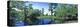 Swamp in forest, Jean Lafitte National Park, New Orleans, Louisiana, USA-Panoramic Images-Premier Image Canvas
