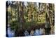 Swampy are in the Magnolia Plantation Outside Charleston, South Carolina, United States of America-Michael Runkel-Premier Image Canvas