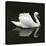 Swan 1-Ben Heine-Premier Image Canvas