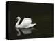 Swan 2-Ben Heine-Premier Image Canvas