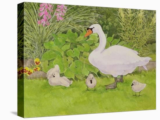 Swan and Cygnets-Linda Benton-Premier Image Canvas