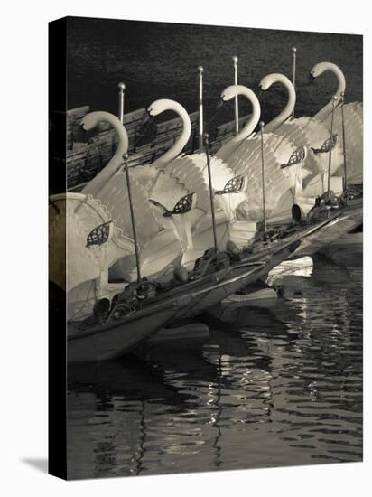 Swan Boats in a River, Boston Public Garden, Boston, Massachusetts, USA-null-Premier Image Canvas