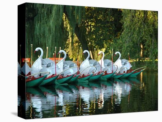 Swan Boats in Public Garden, Boston, Massachusetts-Lisa S^ Engelbrecht-Premier Image Canvas