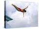 Swan Dive-null-Premier Image Canvas