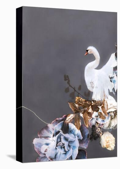 Swan Gold 2-Design Fabrikken-Stretched Canvas