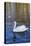 Swan in Keukenhof Gardens-Anna Miller-Premier Image Canvas