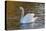 Swan in Keukenhof Gardens-Anna Miller-Premier Image Canvas