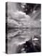 Swan Lake Explorations BW-Steve Gadomski-Premier Image Canvas