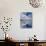 Swan Lake Explorations-Steve Gadomski-Premier Image Canvas displayed on a wall