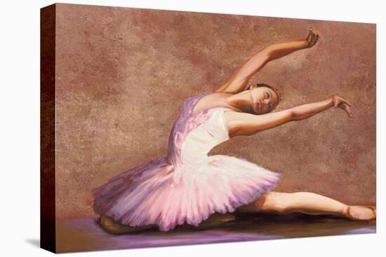 Swan Lake-Andrea Bassetti-Stretched Canvas