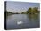 Swan on the River Thames at Walton-On-Thames, Near London, England, United Kingdom, Europe-Hazel Stuart-Premier Image Canvas