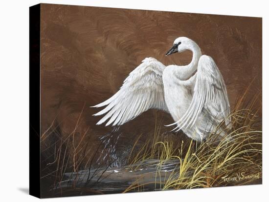 Swan-Trevor V. Swanson-Premier Image Canvas