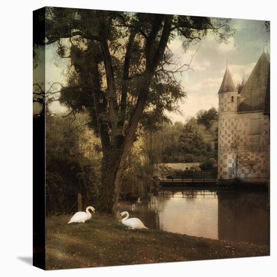 Swans at Chateau-Dawne Polis-Stretched Canvas