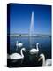 Swans Below the Jet D'Eau (Water Jet), Geneva, Lake Geneva (Lac Leman), Switzerland, Europe-Stuart Black-Premier Image Canvas