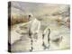 Swans in Winter-Karen Armitage-Premier Image Canvas