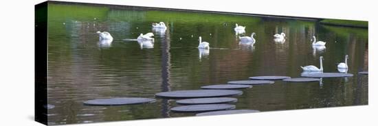 Swans on a Lake in Keukenhof Gardens-Anna Miller-Premier Image Canvas