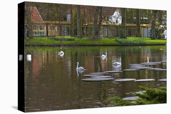 Swans on a Lake in Keukenhof Gardens-Anna Miller-Premier Image Canvas