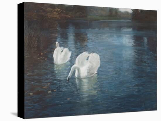 Swans on the River, C.1880-Fritz Thaulow-Premier Image Canvas