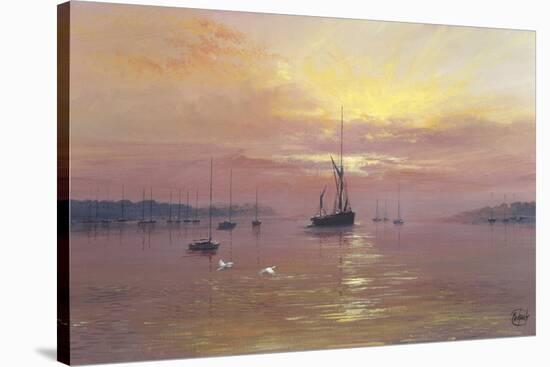 Swans Over Still Waters-Clive Madgwick-Stretched Canvas